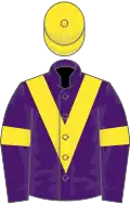 Purple, yellow chevron, armlets and cap