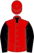 Red, black sleeves
