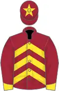 Maroon and yellow chevrons, maroon sleeves, yellow cuffs, yellow star on cap