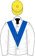 WHITE, royal blue chevron, yellow cap