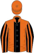 Orange, black stripe, black and orange striped sleeves