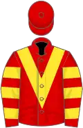 Red, yellow chevron, hooped sleeves