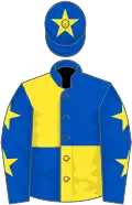 Royal blue and yellow (quartered), royal blue sleeves, yellow stars, royal blue cap, yellow star