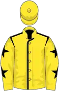 Yellow, black seams, yellow sleeves, black stars, yellow cap