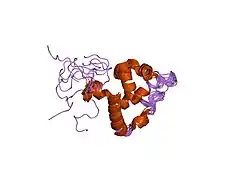 1ig6: HUMAN MRF-2 DOMAIN, NMR, 11 STRUCTURES
