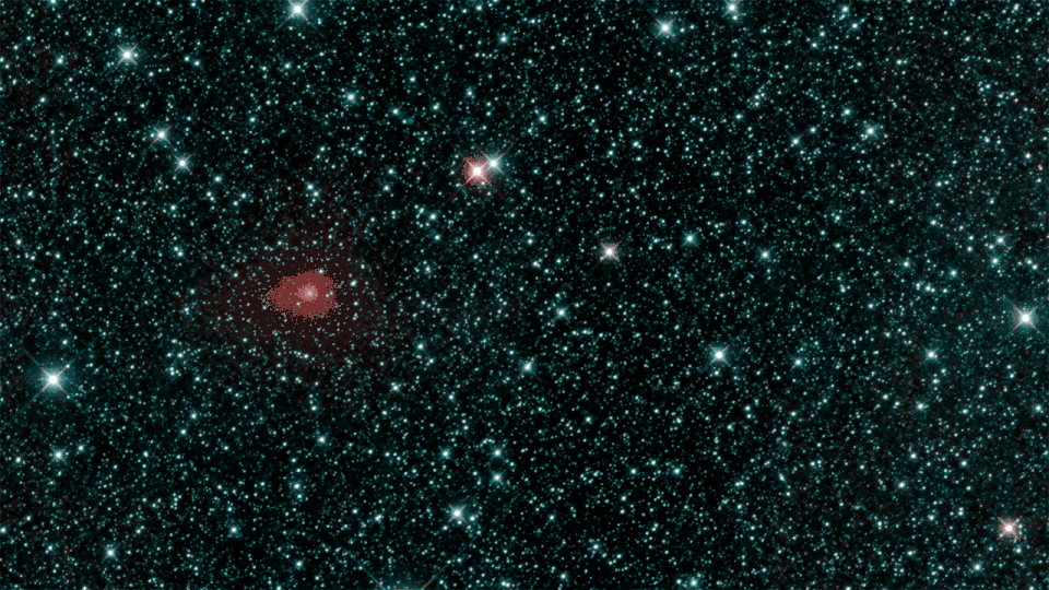 C/2018 Y1 (Iwamoto) as seen from the infrared telescope NEOWISE on 25 February 2019
