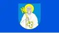 Flag of Ciechanów
