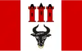 Flag of Gmina Bedlno
