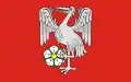 Flag of Gmina Kęsowo