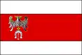Flag of Brzeziny County