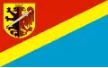 Flag of Radziejów County