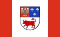 Flag of Turek County