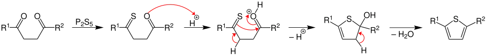 Paal–Knorr thiophene synthesis mechanism