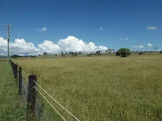 Paddocks along Oaky Scrub Road, 2016