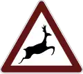 Wild animals