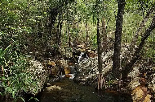 Habitat