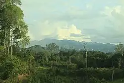 Panorama Merabu, Kelay