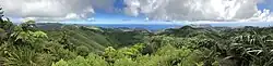 Panoramic view from Diana's Peak