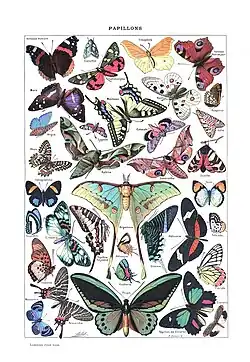 Papillons Larousse pour tous 1907–1910