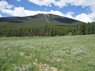 Photo of Park Cone
