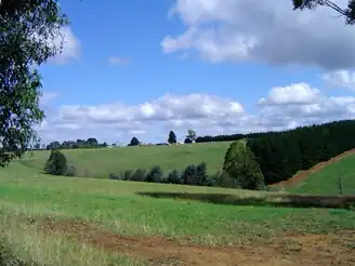 Potato farm at Parkers Corner