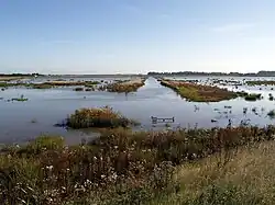Paull Holme Strays lagoon (2007)