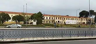 Pavmel.jpg