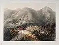 (*) The Avalanche