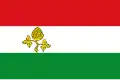 Flag of Peize