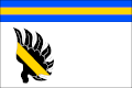 Flag of Petrovice