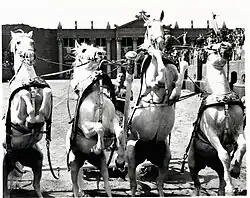 Popular films of the 1950s included Ben-Hur, Singin' in the Rain, Some Like It Hot, Sunset Boulevard, Rebel Without a Cause, On the Waterfront, The Bridge on the River Kwai, All About Eve, Rear Window, The Searchers, Lady and the Tramp, and Vertigo, many of which remain among the most acclaimed and influential films in cinema history.