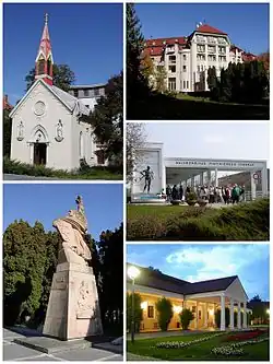 Sights of Piešťany. Top left: Chapel of the Sacred Heart of Jesus (Kaplnka Božského Srdca Ježišovho). Top right: Thermia Palace. Bottom left: Monument Thanks to the Liberators (Vďaka osloboditeľom). Bottom, upper right: Colonnade Bridge. Bottom, lower right: Napoleon's Spa Resort.