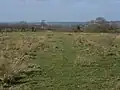 Pilch Field