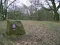 Planet trail