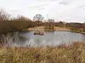 Pond