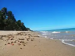 Beach in São Miguel dos Milagres