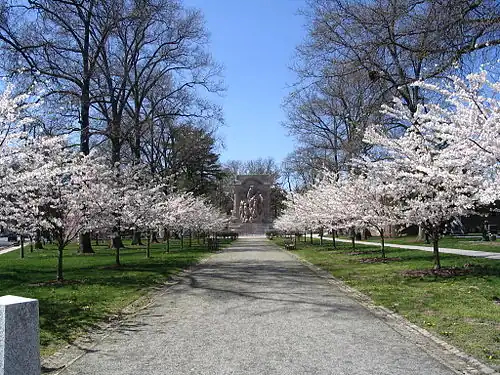 The mall leading to the monument, which aligns with Nassau Street. The cherry trees are a modern addition and first bloomed in 2002.[15]