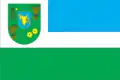 Flag of Pryluky Raion