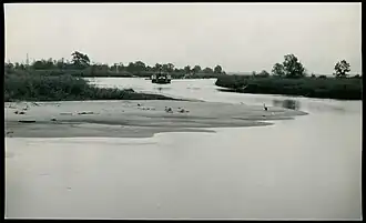 The Prypiat River near Kallaurovichi, Halcy, and Berezhcy. Photo by Henryk Poddębski, 1936.