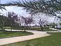 Recreation Park