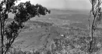 Looking from Bald Knob across Diamond Valley towards Mooloolah, circa 1931