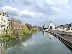 Crișul Repede River