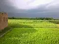 Greenery scene at Rafiq Villas