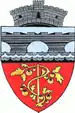 Coat of arms of Mărăcineni
