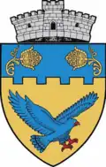 Coat of arms of Saschiz