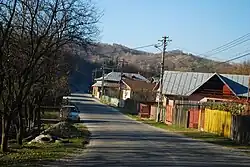 Road in Telega