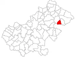 Location in Satu Mare County