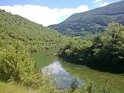 The Ribnik river is a short but significant tributary of the Sana