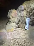 Rimstone with scale
