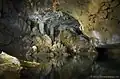 Image 39Rio Frio Cave (from Tourism in Belize)